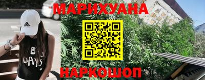 шишки Отрадный