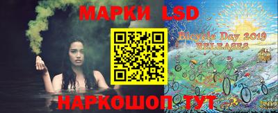 spice Отрадное
