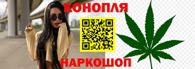 шишки Отрадный